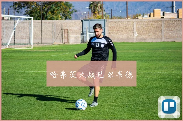 哈弗茨大战巴尔韦德