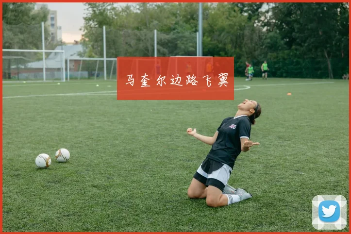 马奎尔边路飞翼