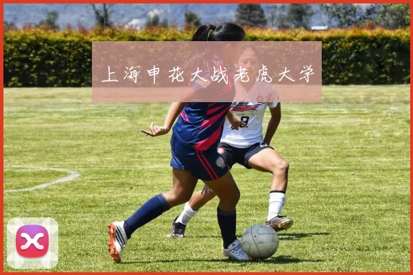 上海申花大战老虎大学