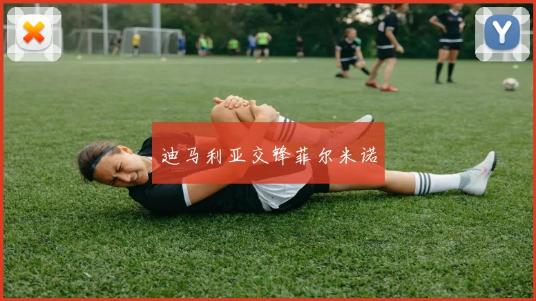 迪马利亚交锋菲尔米诺