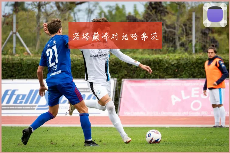 若塔巅峰对话哈弗茨