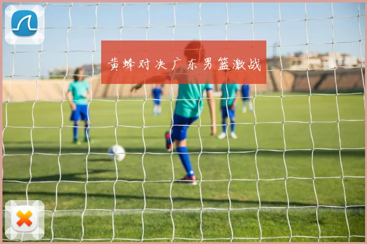 黄蜂对决广东男篮激战