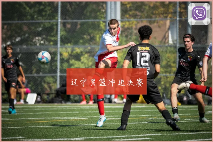 辽宁男篮冲进决赛