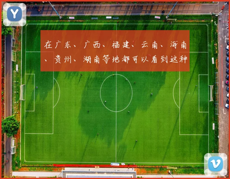 在广东、广西、福建、云南、海南、贵州、湖南等地都可以看到这种蟒蛇