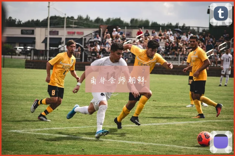 南非会师朝鲜