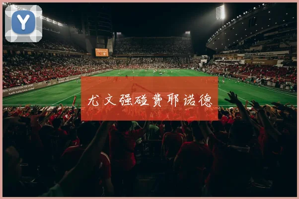 尤文强碰费耶诺德
