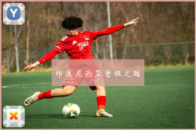 印度尼西亚晋级之路