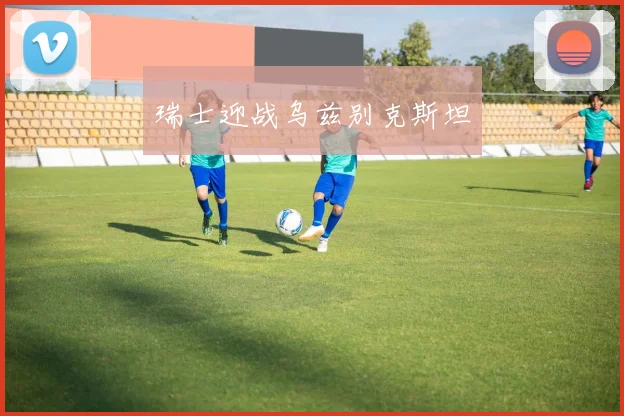瑞士迎战乌兹别克斯坦