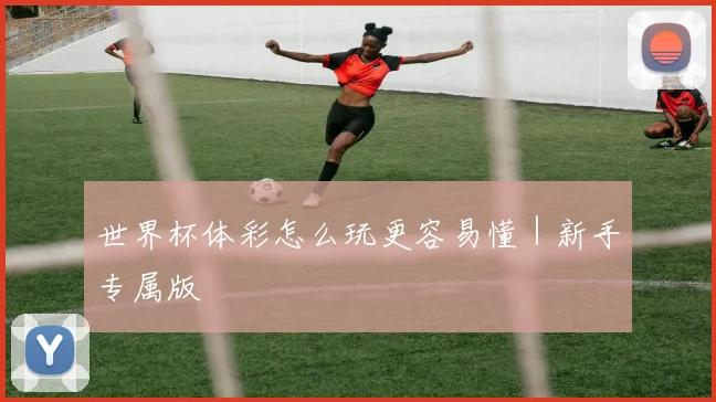 世界杯体彩怎么玩更容易懂｜新手专属版