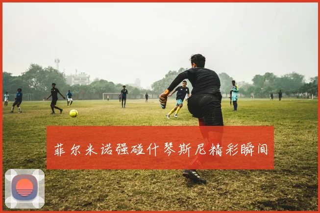 菲尔米诺强碰什琴斯尼精彩瞬间