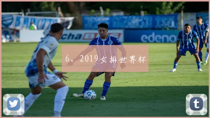 6、2019女排世界杯