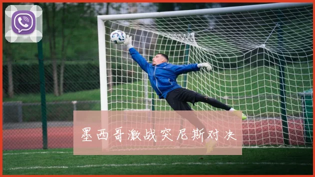 墨西哥激战突尼斯对决