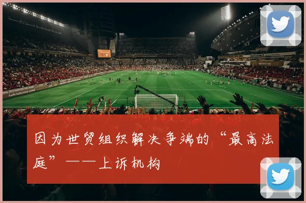 因为世贸组织解决争端的“最高法庭”——上诉机构