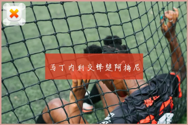 马丁内利交锋楚阿梅尼