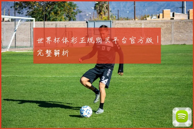 世界杯体彩正规购买平台官方版｜完整解析