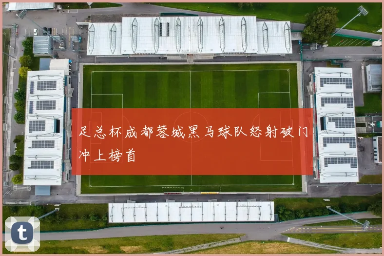 足总杯成都蓉城黑马球队怒射破门冲上榜首