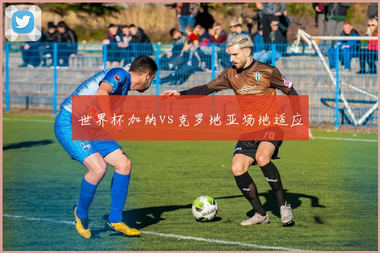 世界杯加纳vs克罗地亚场地适应